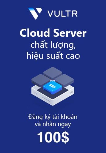 Vultr 100 USD
